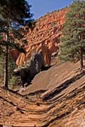 Hiking Red Mountain